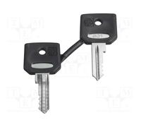 SCHNEIDER ZBG458A Key