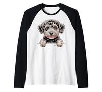 Schnoodle Cute Peeking Schnauzer Poodle Mix Dog Lover Raglan Baseball Tee