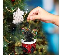 Schnoodle in Snow Pocket Christmas Ornament - Acrylic Funny Dog Animal Ornament - RED Stocking - Glass Packs for One Size