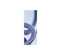 SCHNORR 881200140300000 Locking Disc S M30 Spring Steel Mechanically Galvanised Silver