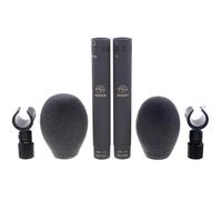 Schoeps Stereo-Set MK 21