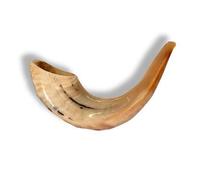 Schofar Shofar Kosher Rams Horn Instrument Natural Shoffar Shophar schofar Judaica Gift Rosh hashanah Jewish Chofar
