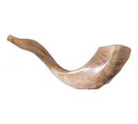 Schofar Shofar Kosher Rams Horn Polished Natural Chofar Showfar Jewish Blow Trumpet Gift Elul instrument Chofar