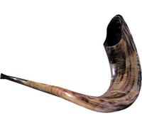 Schofar Shofar Kosher Rams Horn Polished Natural Chofar Showfar Jewish Sound Handcrafted Gift instrument Chofar