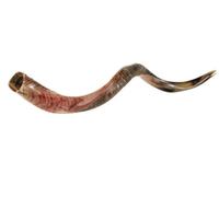 Schofar Shofar Kosher Yemenite Horn Polished Natural Showfar Schofar Antelope Yom kippur Gift blowing instrument Chofar