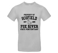 Schofield Fox River Penitentiary Tee Mens Crew Neck Short Sleeve T-Shirt Top - XXL Multi