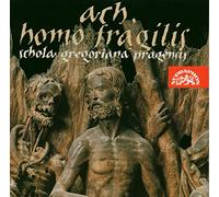 Schola Gregoriana Pragensis Ach, homo fragilis . Medieval Czech profane vocal music in the lyrical vein