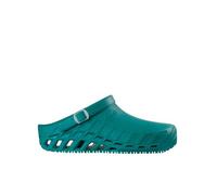 Scholl Unisex's Evo Medical Professional Clog, Grey, Emerald, 2.5/3 UK