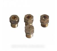 Scholtes Pack Natural Gas Injector - c00132984