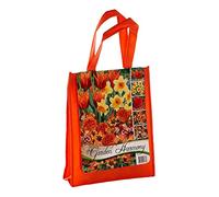 Schone 50 x Orange Flower Bulbs Gift Bag - Perennial Flowers - Easy to Grow - Spring Blooms - Garden Decoration (Orange)