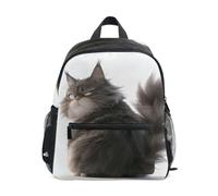 school backpack for kids boys with name tag Angry Fat Maine Coon Cat