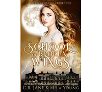 School of Broken Wings: Academy of Souls Book 4