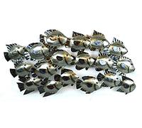 School of silver fish Metal Steel wall art 70 cm long, 30 cm wide