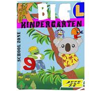 School Zone - Big Kindergarten: Ages 3 and Up, Colors, Alphabet, Activities (School Zone Big Workbook )