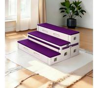 School's New PE Plastic Choir Stage Is A Mobile, Flip-up, Folding Platform With Three-tiered Movable Dance Steps For The Music Classroom(Purple)