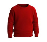 SchoolStitch® Crew Neck School Jumper Girls Long Sleeve Boys Sweatshirts | Long Sleeve black crew neck jumper Winter School Uniform Top, fleece jumper kids Royal Blue Red Black sweatshirt, 2-13 Years