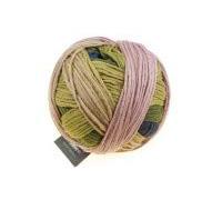 Schoppel-Wolle Gradient 2336, Woman of the Woods
