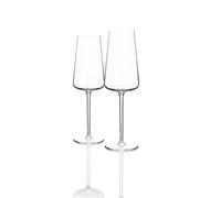 Schott Zwiesel Passionata - 12pcs Champagne Glasses - 325ml - German Quality & Dishwasher Safe