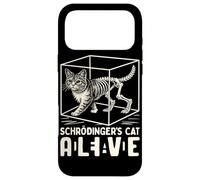 Schrödinger's Cat Dead And Alive Box Case for iPhone 17 Pro Max
