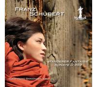 Schubert:Wanderer Fantasie