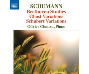 Schumann,Robert / Ch - Beethoven Studies Ghost Variations & Schubert Variations