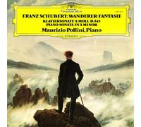 Schumann / Schubert: Wanderer-Fantasie [VINYL]