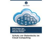 Schutz vor Datenlecks im Cloud Computing