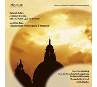 Schutzredarathgeber - SCHUETZ:ST JOHN PASSION