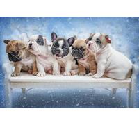 Schwagebo 1500 Pieces - Poster - Difficult Jigsaw - Gifts - French Bulldogss Picture - Elderly Memory Cognition Games - Decompression Toy - Jk439Zp