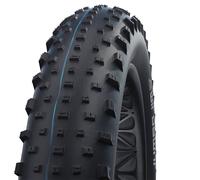 Schwalbe Jumbo Jim Evolution Addix Tubeless 26´´ X 4.00 Mtb Tyre Silver 26´´ x 4.00