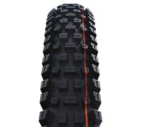 Schwalbe Albert Gravity Pro Soft Radial Tubeless 2026 29´´ X 2.50 Mtb Tyre 29´´ x 2.50 Black