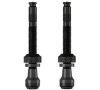Schwalbe Tubeless Presta 80 Mm Valves 2 Units Silver