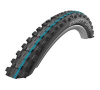 Schwalbe Dirty Dan 29 inch Folding/ADDIX/LS Tyre