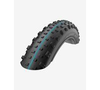 Schwalbe Jumbo Jim Performance Addix 26´´ X 4.00 Mtb Tyre Black 26´´ x 4.00