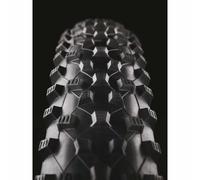 Schwalbe Rocket Ron EVO TLE Addix Speed SnakeSkin Tubeless 29´´ X 2.10 MTB Tyre 29´´ x 2.10