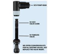 Schwalbe Tubeless Presta 60 Mm Valves 2 Units Silver