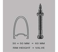 Schwalbe Tubeless Valves - Pair (60 mm) Size: 60 mm