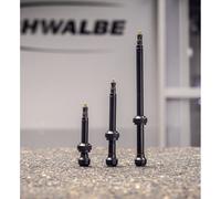 Schwalbe Tubeless Valves - Pair (100 mm) Size: 100 mm