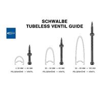 Schwalbe Tubeless Presta Valves 2 Units Black 100 mm