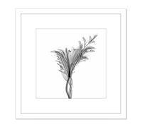 Schwartz NJIT Greyscale X-Ray Transparent Plant Photo 8X8 Inch Square Wooden Framed Wall Art Print Picture with Mount Artery8 White One Size