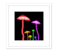 Schwartz NJIT Mushrooms Transparent False Colour X-Ray Photo 8X8 Inch Square Wooden Framed Wall Art Print Picture with Mount Artery8 White One Size