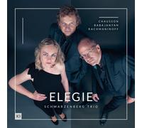 Schwarzenberg Trio : Schwarzenberg Trio: Elegie CD (2026) NEW Great Value