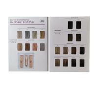 Schwarzkopf BlondMe Blonde Toning Shade Guide