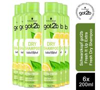 Schwarzkopf got2b Fresh It Up Extra Fresh Dry Shampoo 200ml, 6 Pack