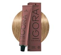 Schwarzkopf Professional Igora Color10 permanent hair color 60 ml, 8-4 light blond beige