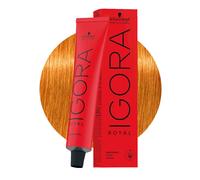 Schwarzkopf Igora Royal 9-7 Very Light Copper Blond 60ml - permanent colouring