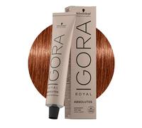 Schwarzkopf Professional Igora Royal Absolutes Permanent Color 60 ml