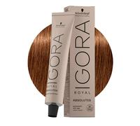 Schwarzkopf Professional Igora Royal Absolutes Hair Colour 60ml - 7-60