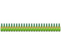 Schweppes Canada Dry Ginger Ale, 200 ml, Pack of 24