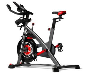 Schwinn 800IC Upright Exercise Bike